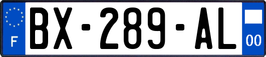 BX-289-AL