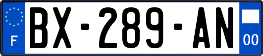 BX-289-AN