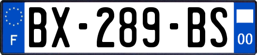 BX-289-BS