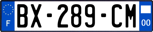 BX-289-CM