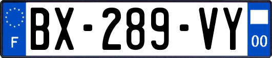 BX-289-VY