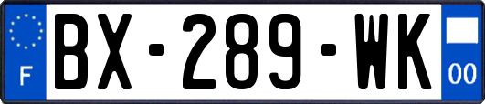 BX-289-WK