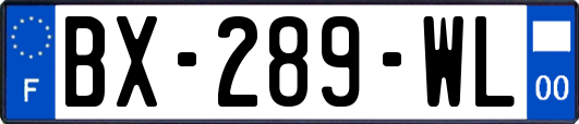 BX-289-WL