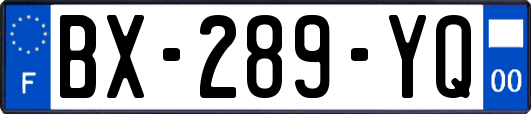 BX-289-YQ