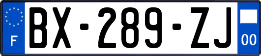 BX-289-ZJ