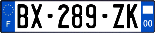 BX-289-ZK