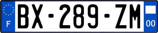 BX-289-ZM