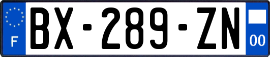 BX-289-ZN