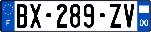 BX-289-ZV