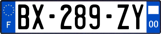 BX-289-ZY