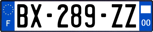 BX-289-ZZ