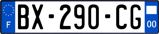 BX-290-CG