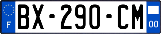 BX-290-CM