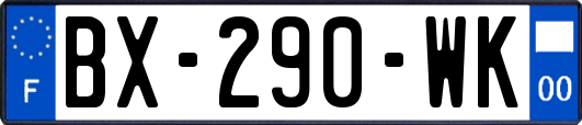 BX-290-WK