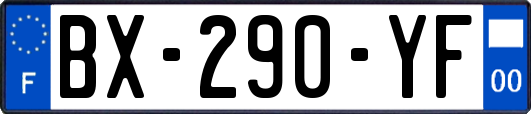 BX-290-YF