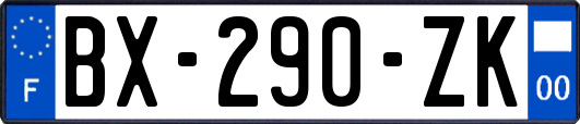 BX-290-ZK