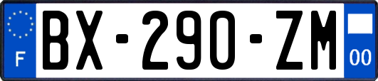 BX-290-ZM