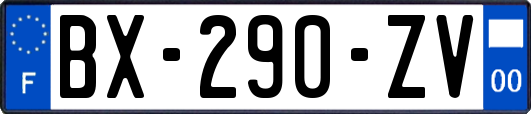 BX-290-ZV