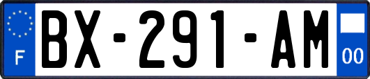 BX-291-AM