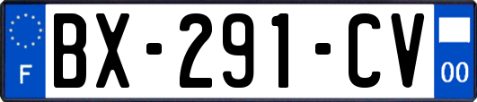 BX-291-CV