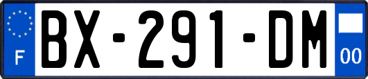 BX-291-DM