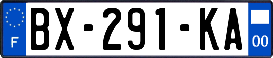 BX-291-KA