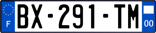 BX-291-TM