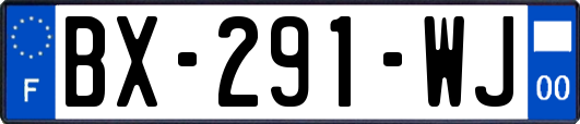 BX-291-WJ