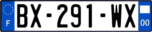 BX-291-WX