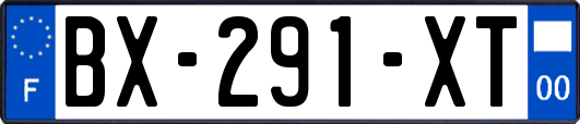 BX-291-XT