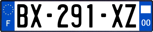 BX-291-XZ