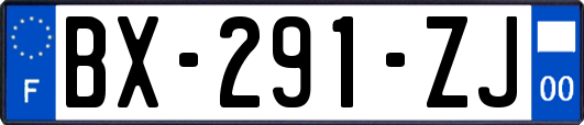 BX-291-ZJ