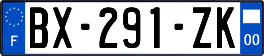 BX-291-ZK