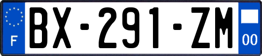 BX-291-ZM