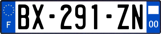 BX-291-ZN