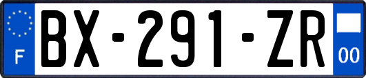 BX-291-ZR