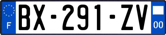 BX-291-ZV