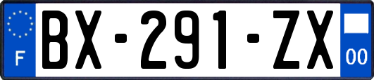 BX-291-ZX