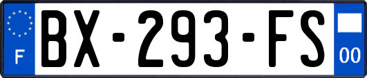 BX-293-FS