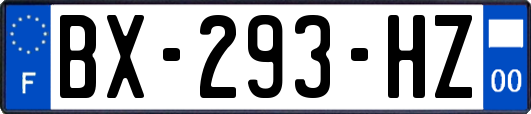 BX-293-HZ