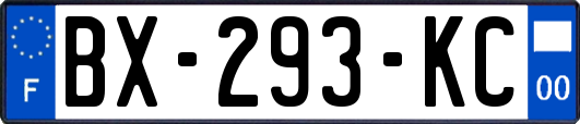 BX-293-KC