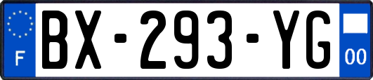 BX-293-YG