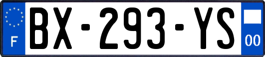 BX-293-YS