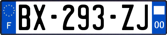 BX-293-ZJ