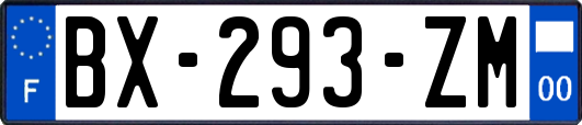 BX-293-ZM