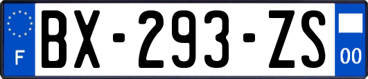 BX-293-ZS