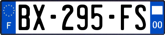 BX-295-FS