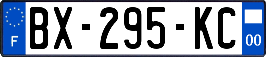 BX-295-KC