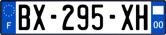 BX-295-XH