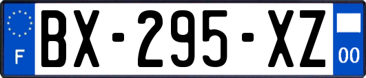 BX-295-XZ